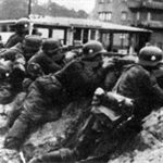 Waffen SS возникновение