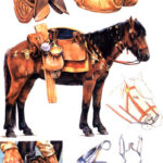 Экипировка римской кавалерии. Римский конь был ниже современных лошадей -- около 130-150 см. Кони, описываемые античными авторами как "большие" -- парфянские, сарматские или гуннские -- имели рост не более 155 см, то есть были средними по нынешним меркам.