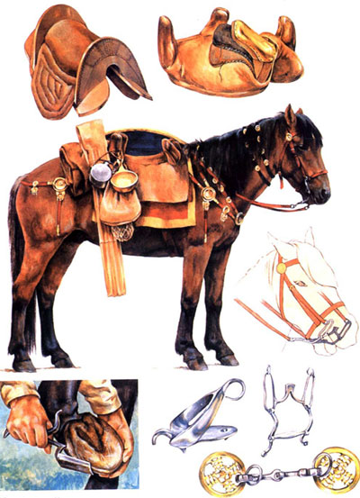 Экипировка римской кавалерии. Римский конь был ниже современных лошадей -- около 130-150 см. Кони, описываемые античными авторами как "большие" -- парфянские, сарматские или гуннские -- имели рост не более 155 см, то есть были средними по нынешним меркам.