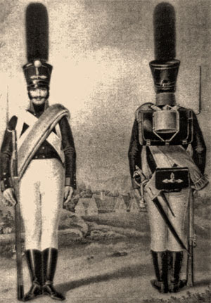 Гренадеры, 1808-1809 годы