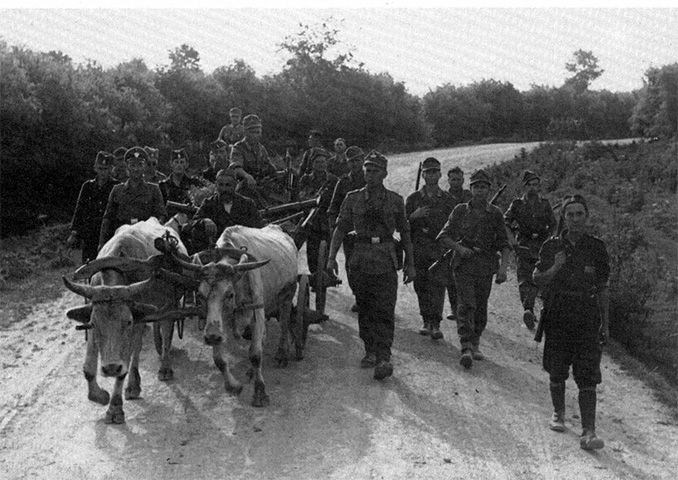 Отряд немецкой полиции и солдаты сербского добровольческого корпуса